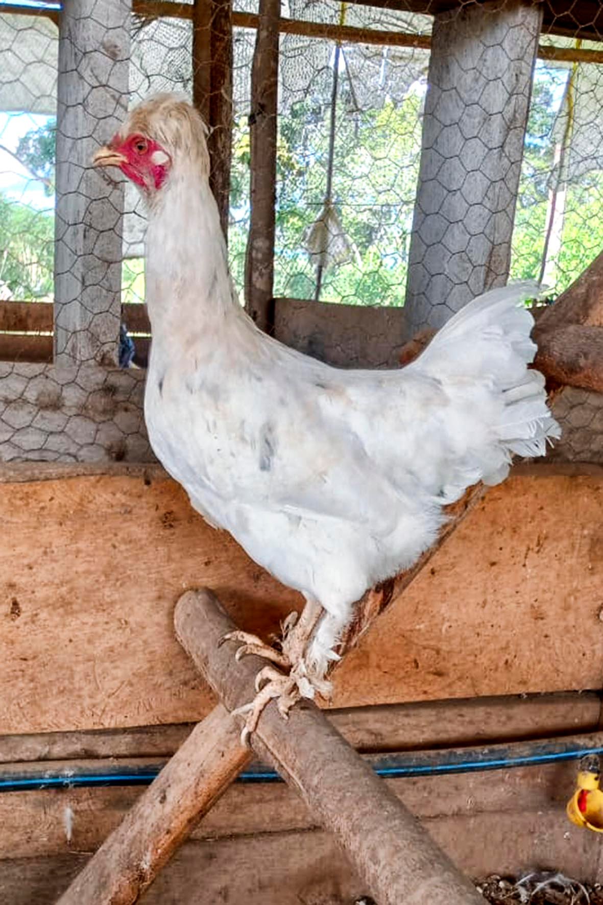 WhatsApp Image 2025-04-03 at 7.35.01 PM (2) copia.jpg